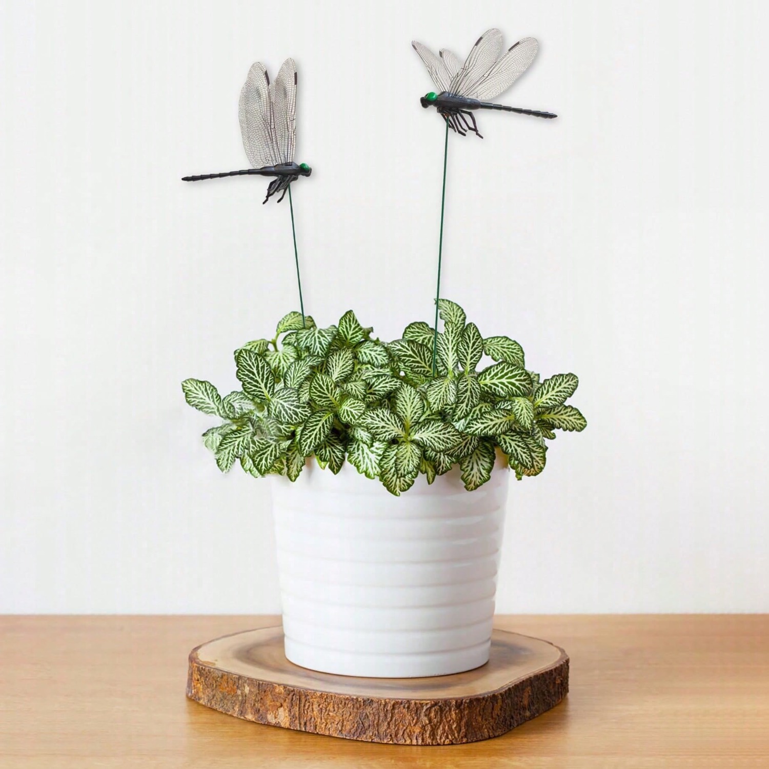 10 Pcs Dragonfly Decorative S, - огляд і ціна Bonsai Garden Decor