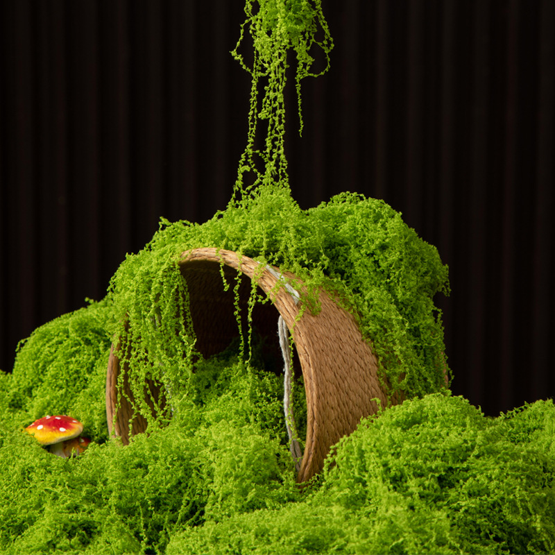 200g Eternal Life Moss DIY Cra - огляд і ціна Bonsai Garden Home