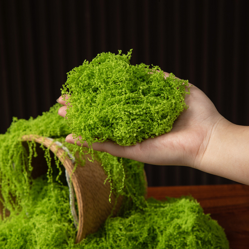 200g Eternal Life Moss DIY Cra - огляд і ціна Bonsai Garden Home