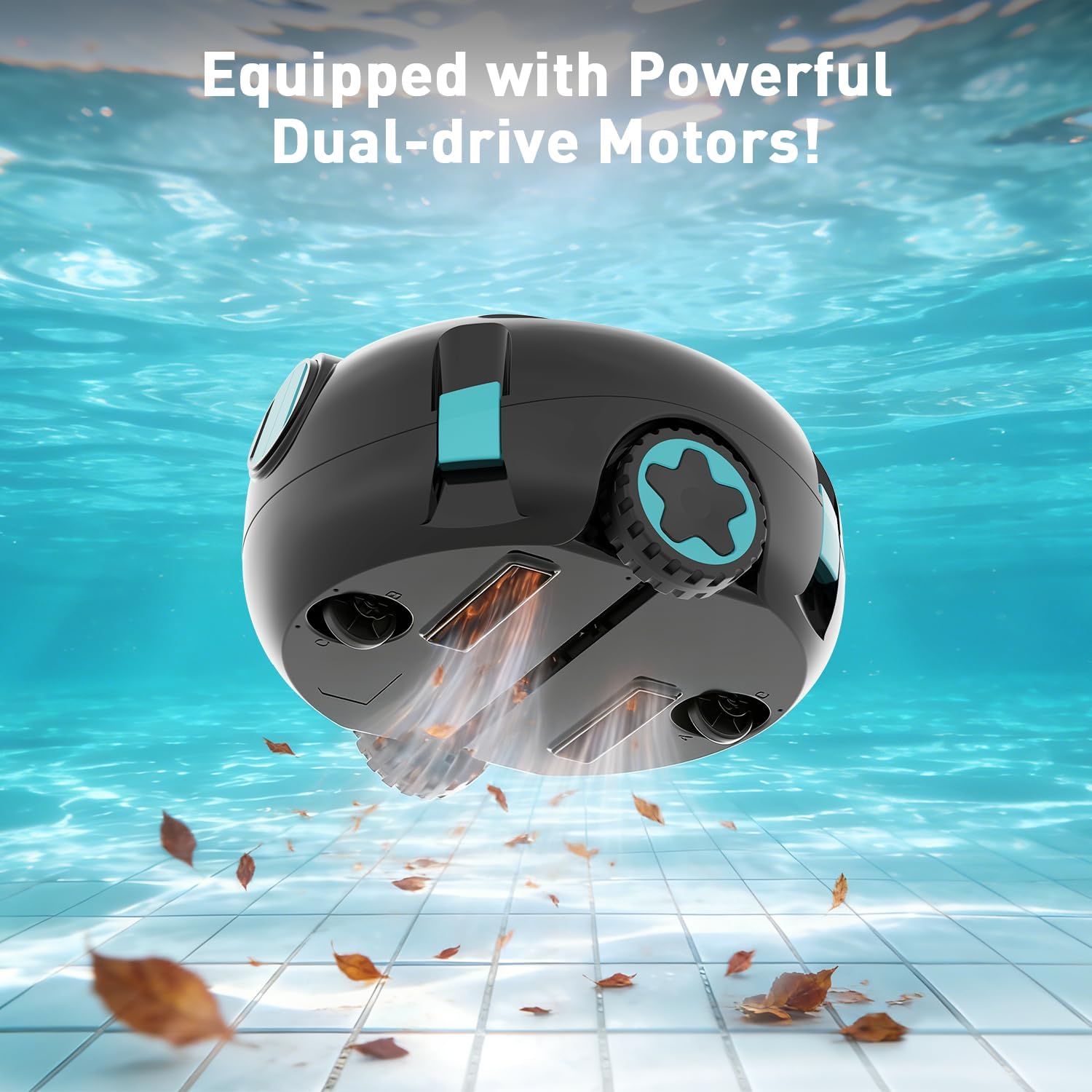 HIXZAP Pool Cleaner Offers a R - огляд і ціна Bonsai Rock Garden