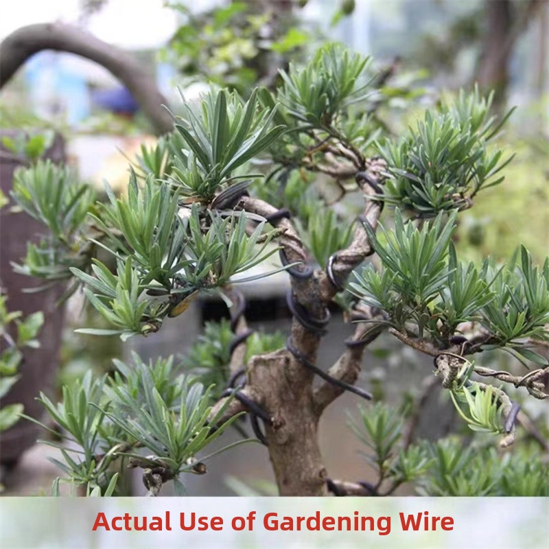 1.5MM Bonsai Wires Aluminum Bo - огляд і ціна Bonsai Garden Home