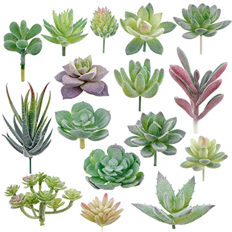 10/20Pcs PVC Succulents Plants - огляд і ціна Bonsai Garden Home