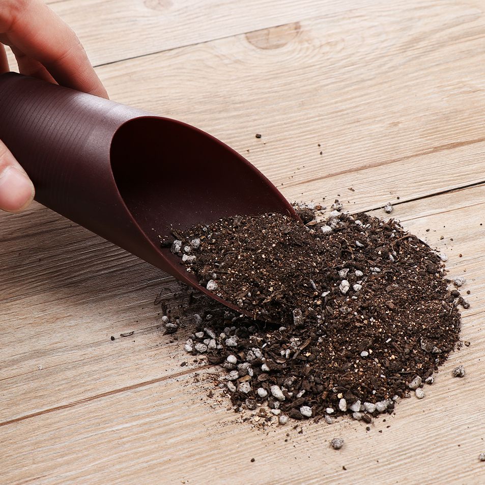 1PC Plastic Soil Shovel Cup Fo - огляд і ціна Bonsai Garden Home